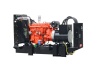 Дизельный генератор FOGO FDF 325 S